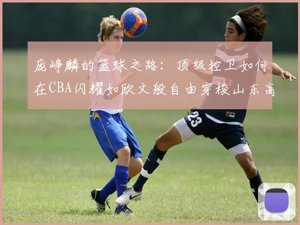 庞峥麟的篮球之路：顶级控卫如何在CBA闪耀如欧文般自由穿梭山东高速