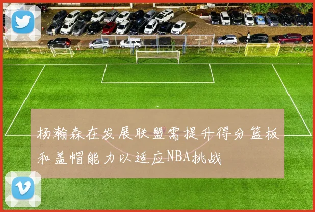 杨瀚森在发展联盟需提升得分篮板和盖帽能力以适应NBA挑战