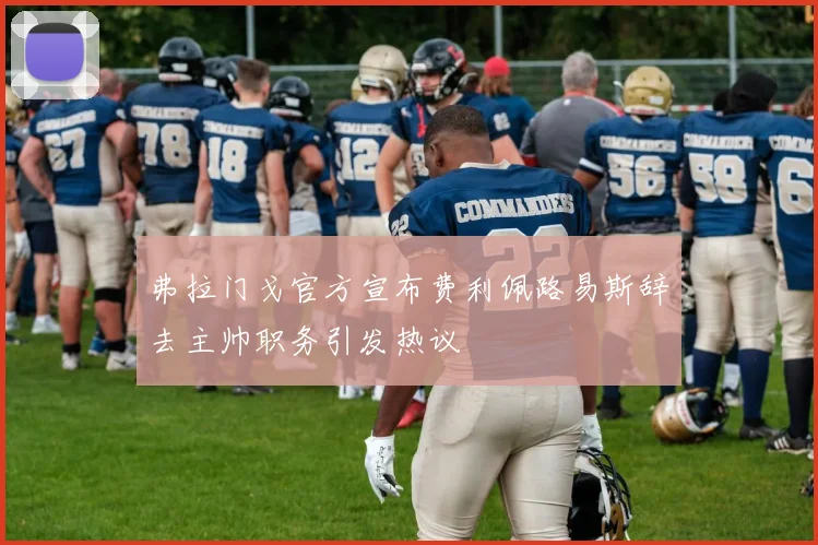 弗拉门戈官方宣布费利佩路易斯辞去主帅职务引发热议