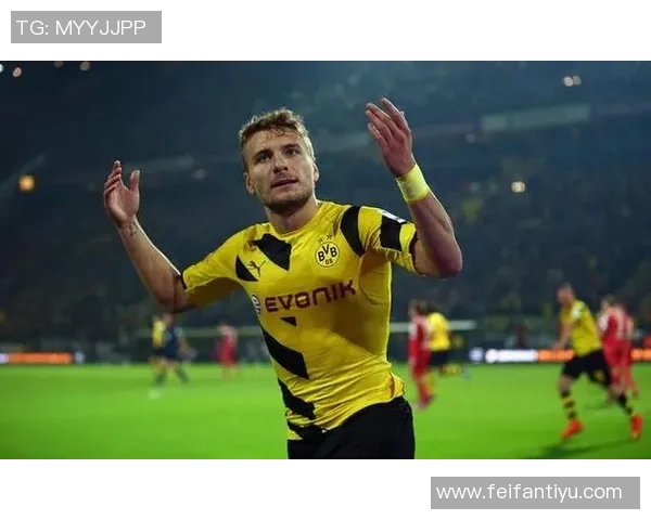 新世纪五大联赛球员连续进球纪录莱万14场领衔哈兰德范尼紧随其后